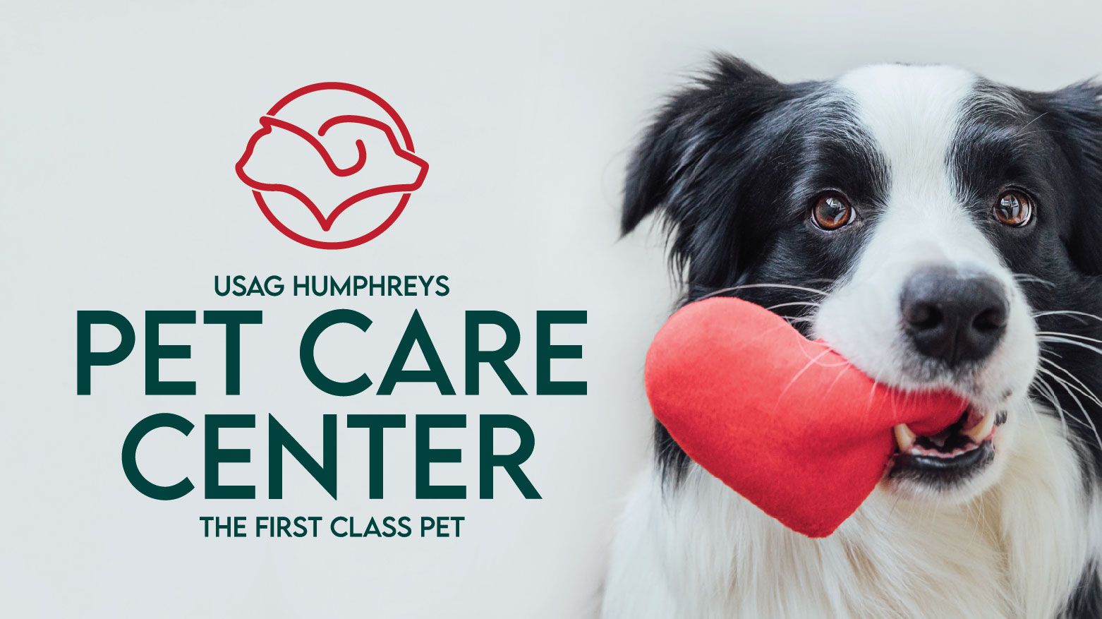 Pet Care Center The First Class Pet Humphreys US Army MWR