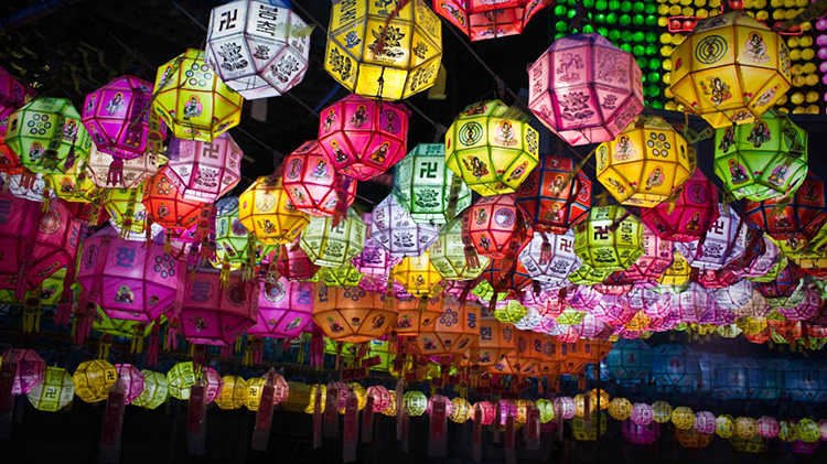 Lotus lantern shop festival korea