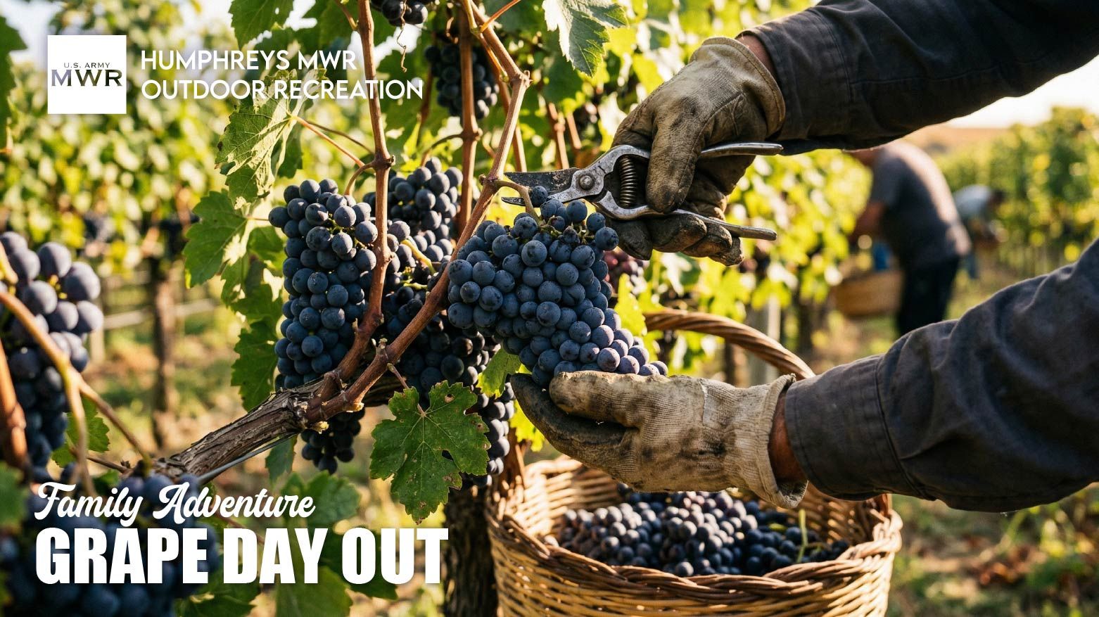 "Grape" Day Out